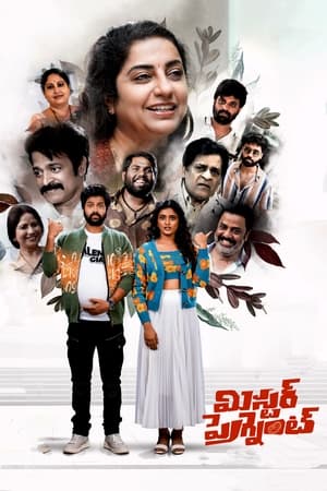 Mr. Pregnant (2023) (Hindi – Telugu) Dual Audio – HD Poster Download - Filmyzilla